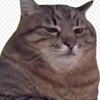 Profile image of 面倒猫