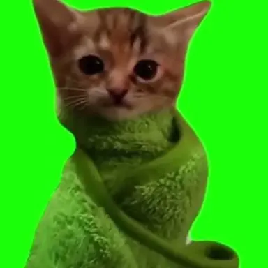 Profile image of ブランケット猫