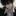 남태현