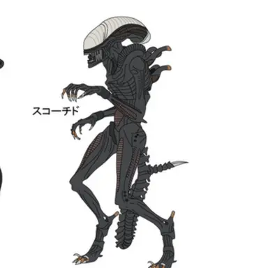 Profile image of オスゼノモーフ