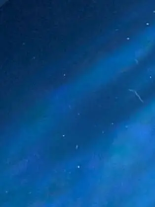 mimizuk-0011의 ご主人は今日も。