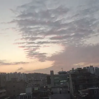 Profile image of ㅇ연우