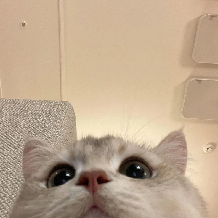 김규빈