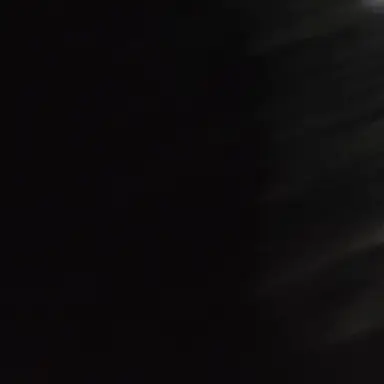 Profile image of 야샤