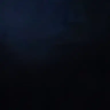 Profile image of 파리스