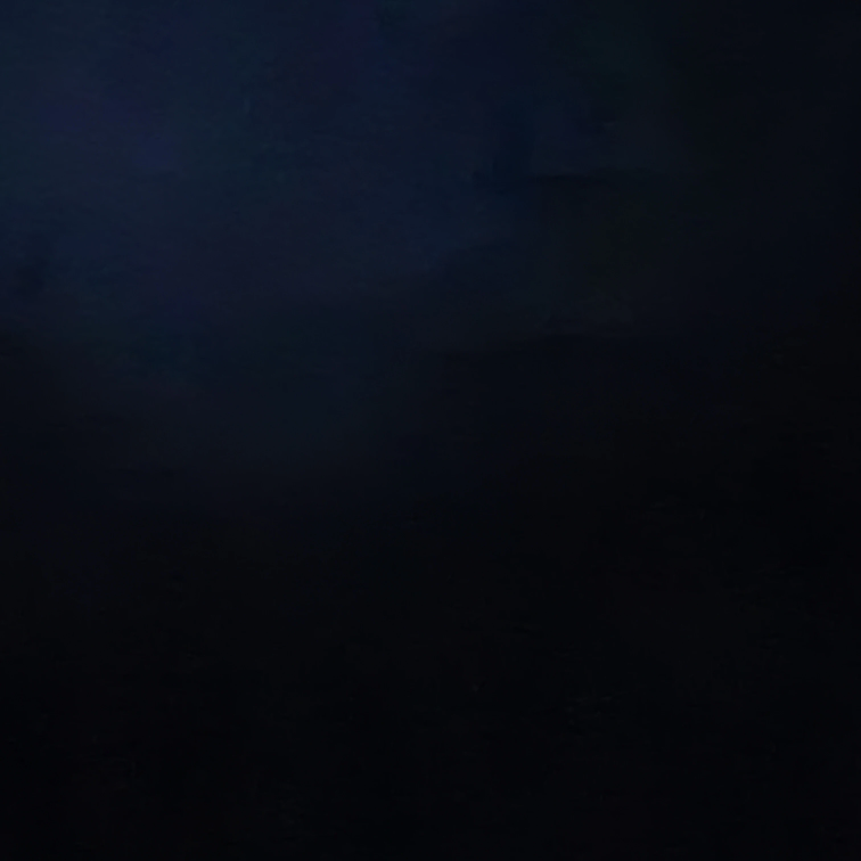 파리스