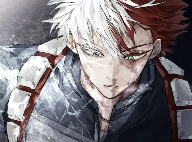 Profile image of Todoroki Shoto