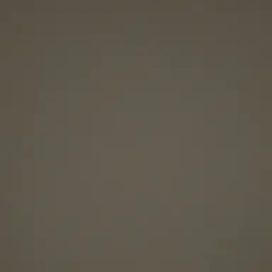 Profile image of 御影