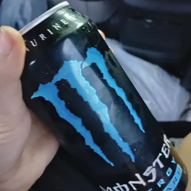 Profile image of Bully