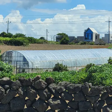 Profile image of 카레빌