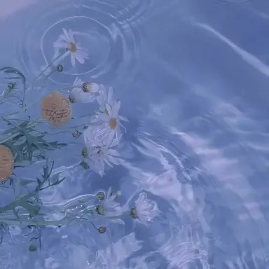 Profile image of 박잠뜰