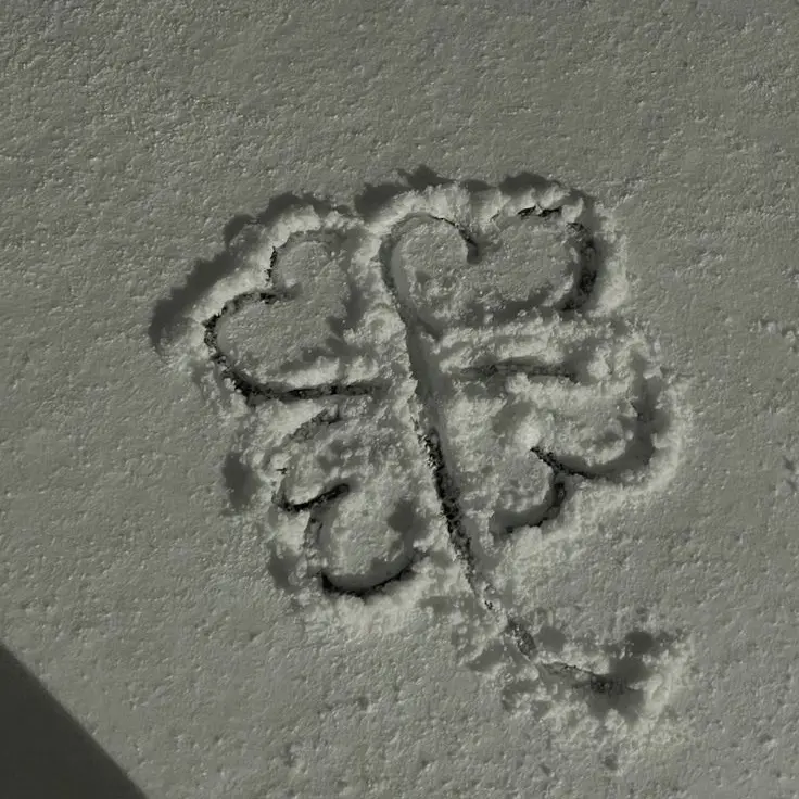 O.o_iioi.r의 눈 색깔으로 계급을 정한다 !!!