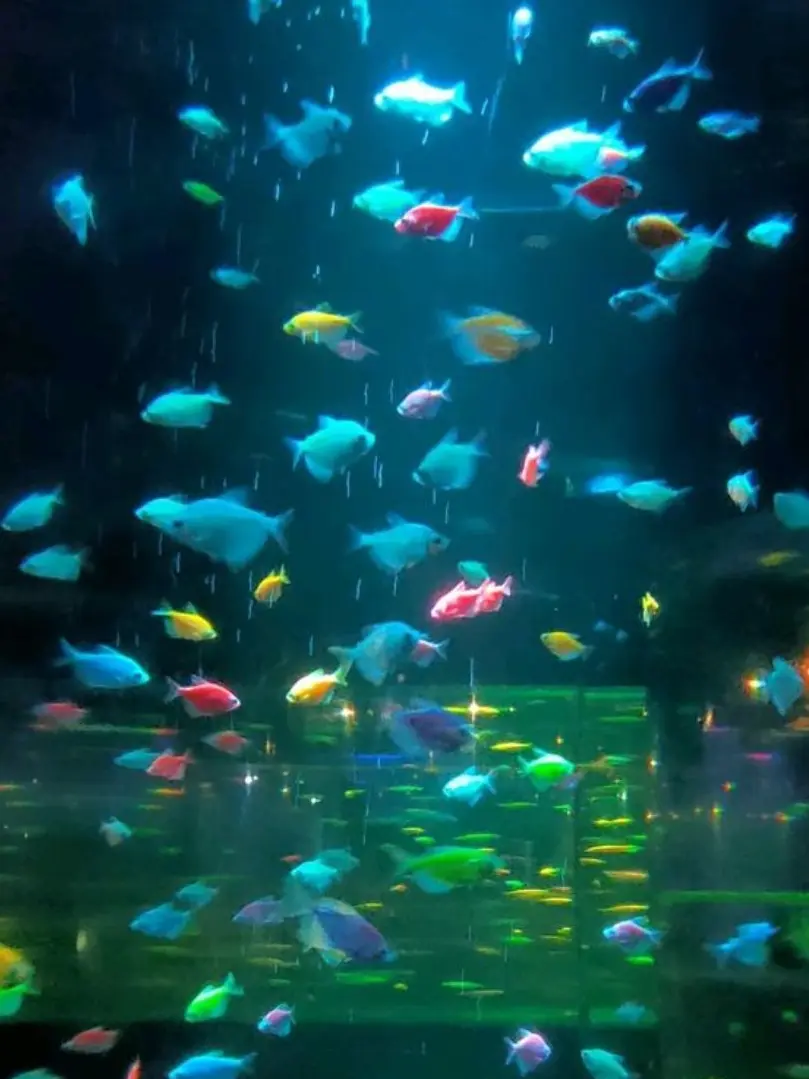 mimei의 ✧ 海坊主
