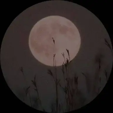 Profile image of Kael