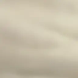 Profile image of 神崎　颯