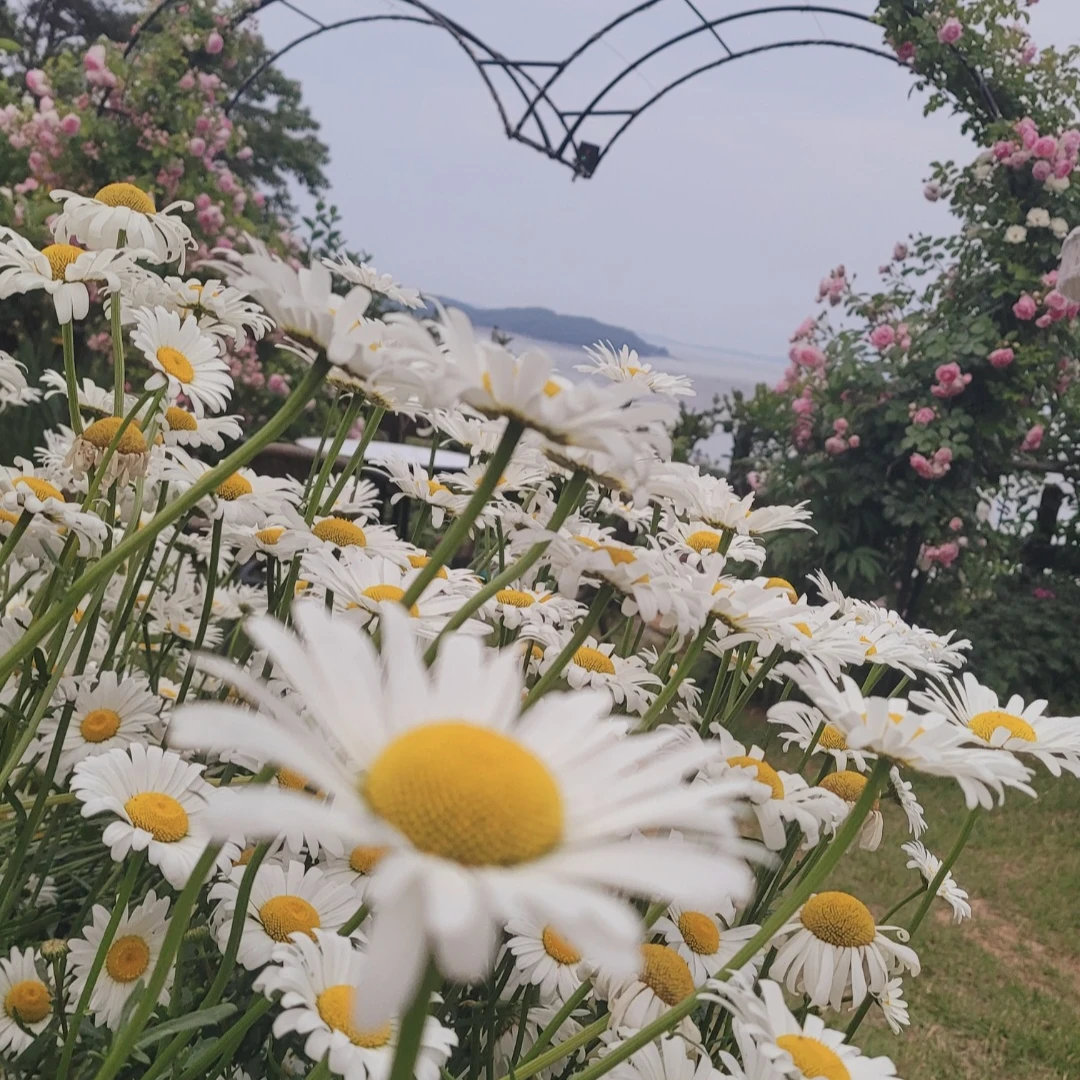 종건