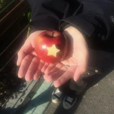 Profile image of 마플