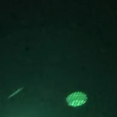 Profile image of 홍동균