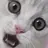 먼지