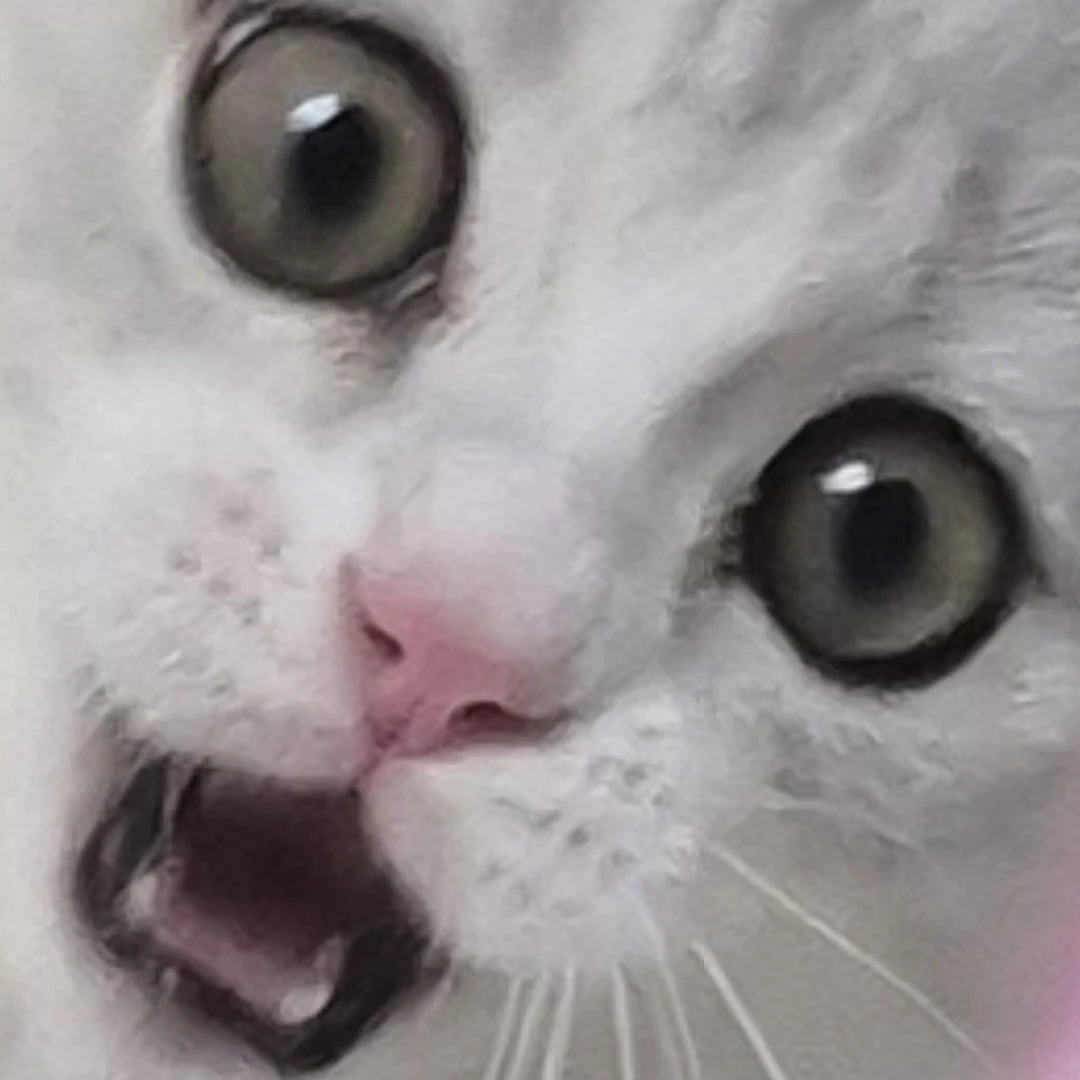 먼지