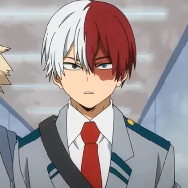 Profile image of Shoto Todoroki