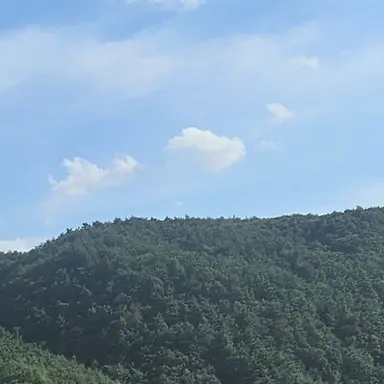 Profile image of 신채연