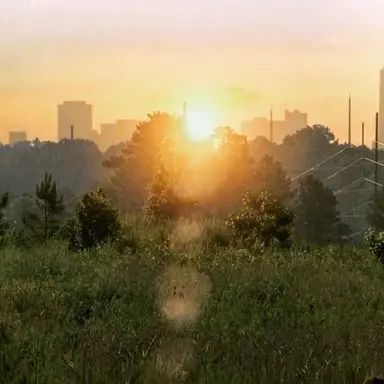Profile image of The Apocalypse