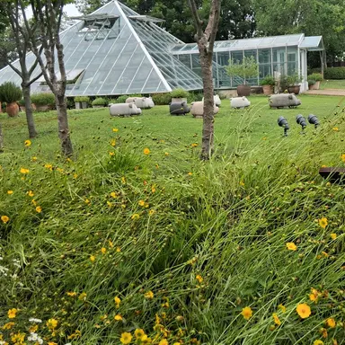 Profile image of 각별