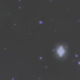 Profile image of 퓨어바닐라