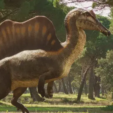 Profile image of Spinosaurus