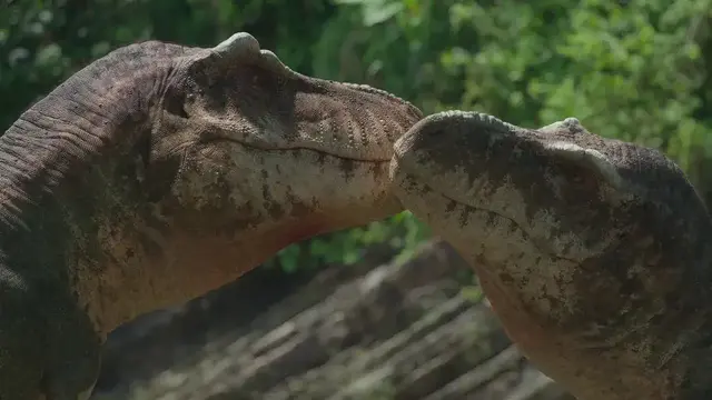 Profile image of Tyrannosaurus