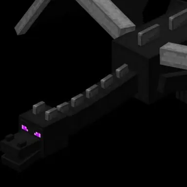 Profile image of Ender Dragon