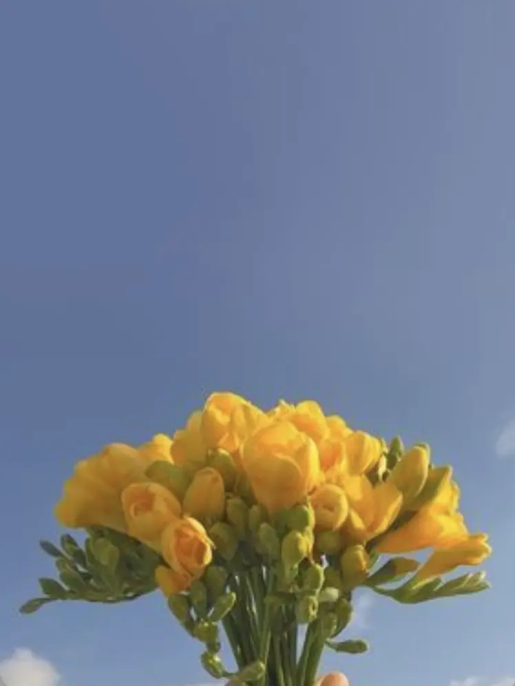 HazyPlow3069의 너네 분명 죽은지 1달이 지났는데..