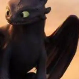 Profile image of Toothless.