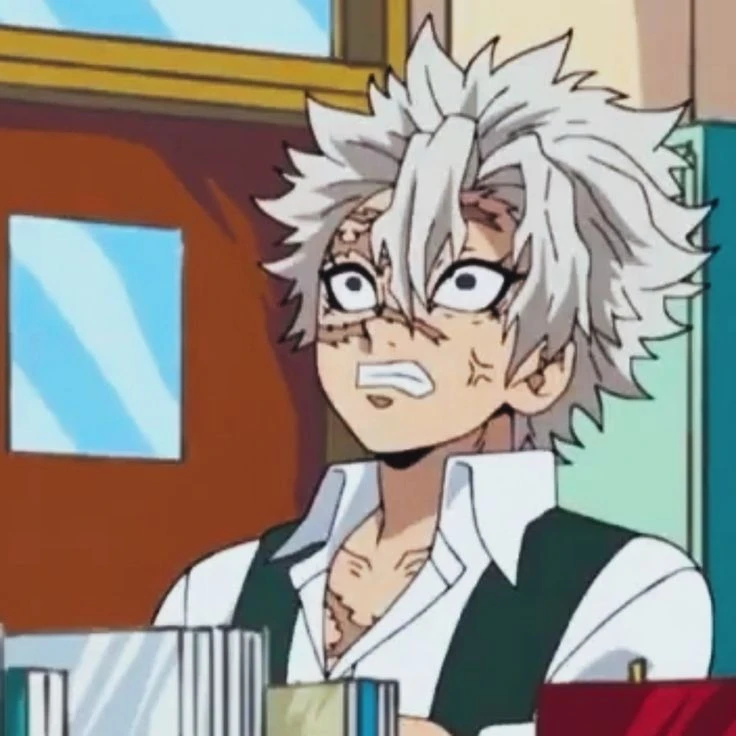 시나즈가와 사네미