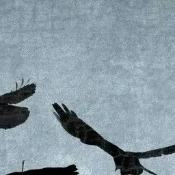 LonelyMenu5514의 거대한 새