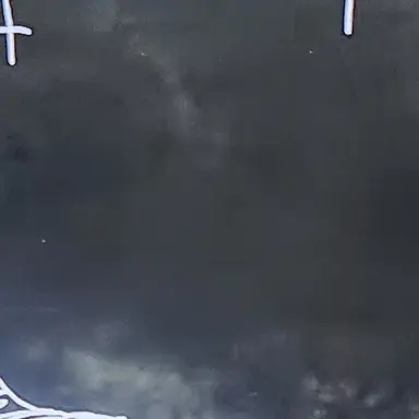 Profile image of 여우