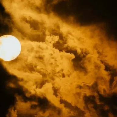 Profile image of 징버거