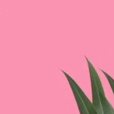 Profile image of 주르르