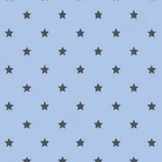 Profile image of 教師陣