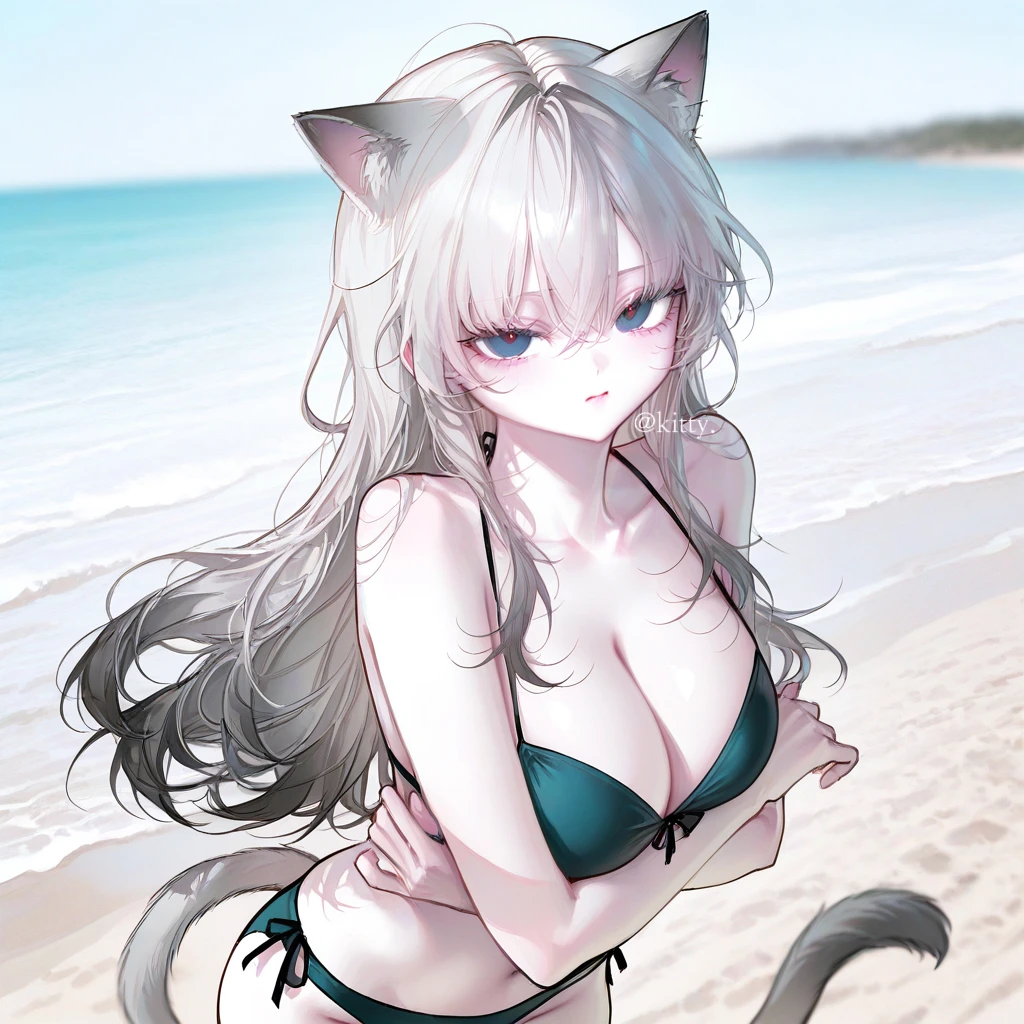 여름 레레