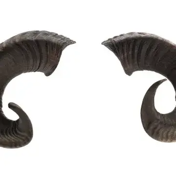 Profile image of Diamantis