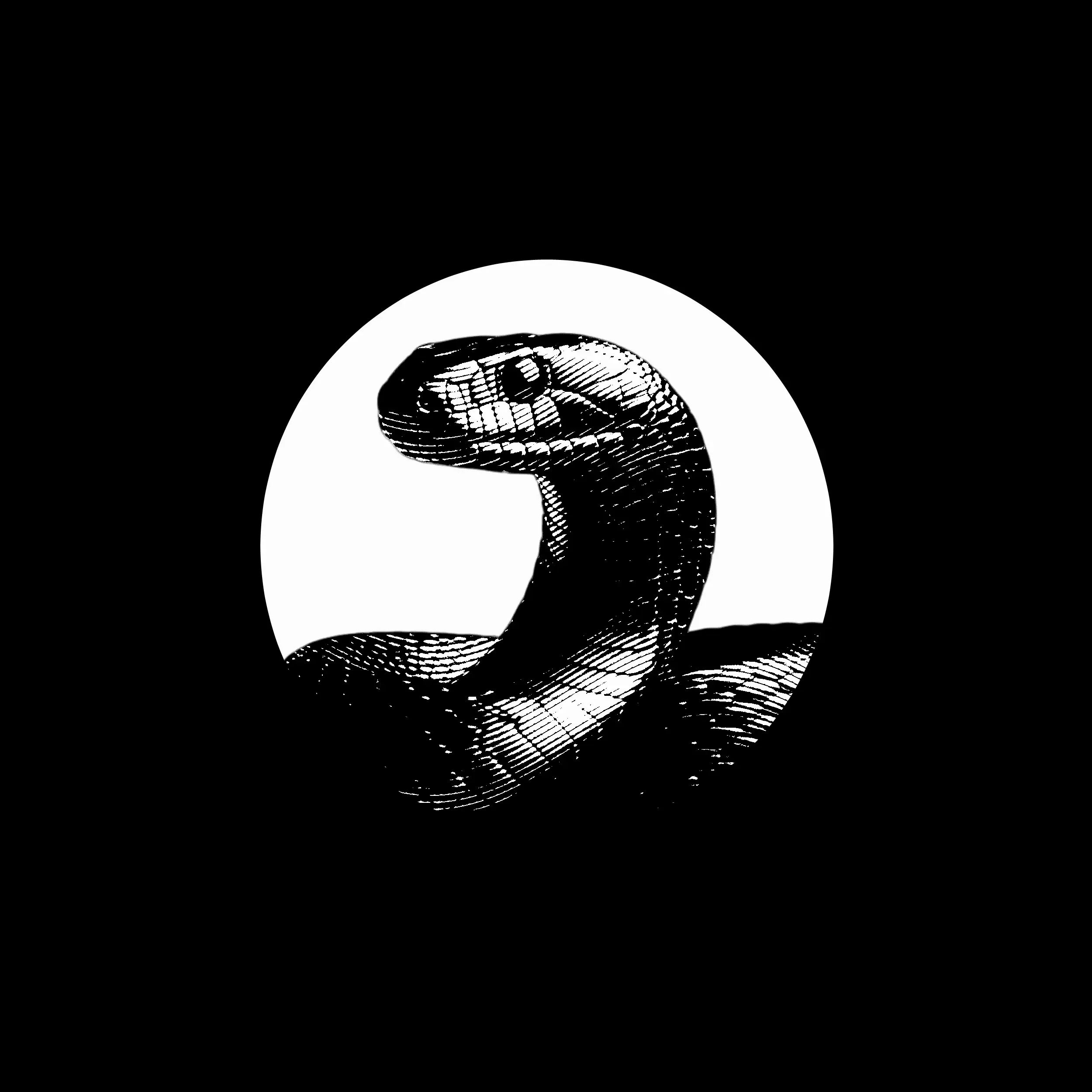 DomPerignon의 束縛