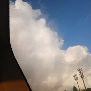 Profile image of 유혜정