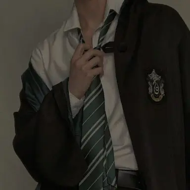 Profile image of MALFOY