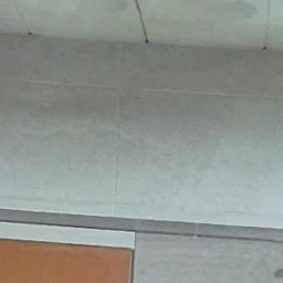 임세린