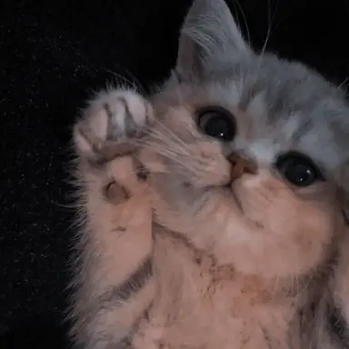 Profile image of 유지민