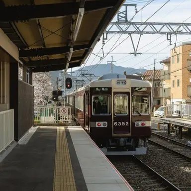 Profile image of 天野蓮