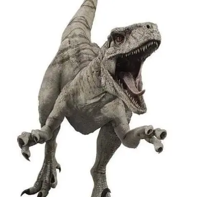 Profile image of 고스트