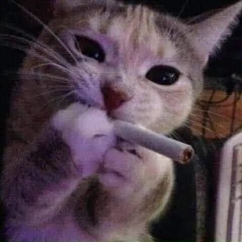 Hahanaha의 이서희